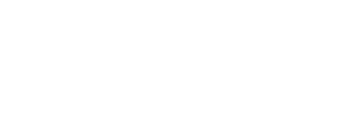 NEWAYIC 立维创展